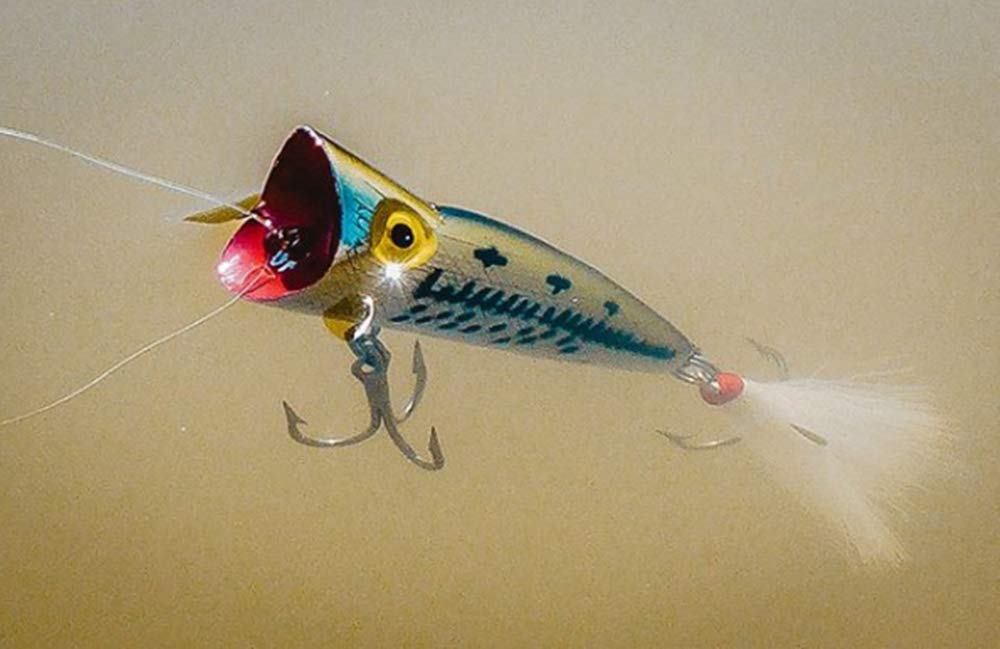 Amazon.com : Rebel Lures Pop-R Topwater Popper Fishing Lure